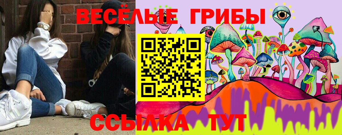 Псилоцибиновые грибы Cubensis Людиново