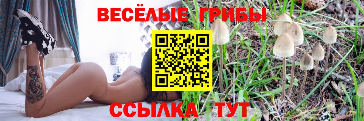 Псилоцибиновые грибы мухоморы  Вход с VPN  Людиново  Псилоцибиновые грибы Cubensis 
